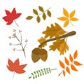 A set of vector illustrations on the theme of autumn. A branch with acorns and various leaves isolated Royalty Free Stock Photo